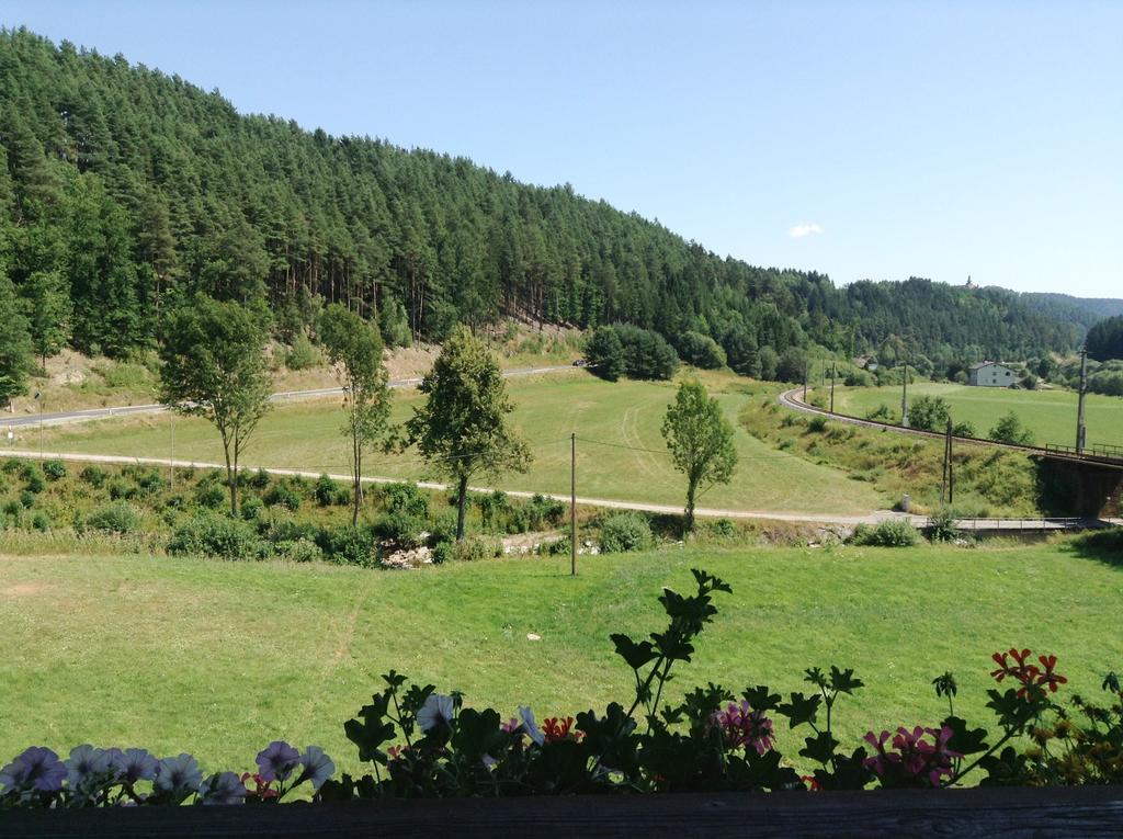 Gasthof Zur Haltestelle Lasberg Room photo